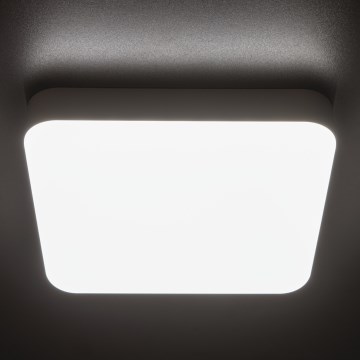 LED-Hochleistungs-Deckenleuchte IPER LED/26W/230V IK10 IP65 eckig weiß