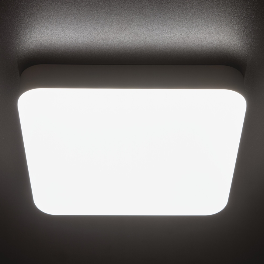 LED-Hochleistungs-Deckenleuchte IPER LED/26W/230V IK10 IP65 eckig weiß