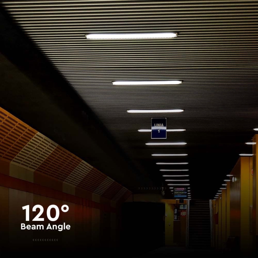 LED Hochleistungs-Leuchtstofflampe LED/48W/230V 4000K IP65 150 cm