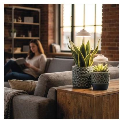 LED-Innenlampe zur Pflanzenzucht GROW LED/5W/5V