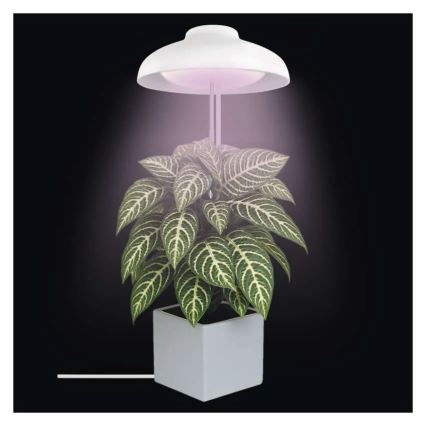 LED-Innenlampe zur Pflanzenzucht GROW LED/5W/5V