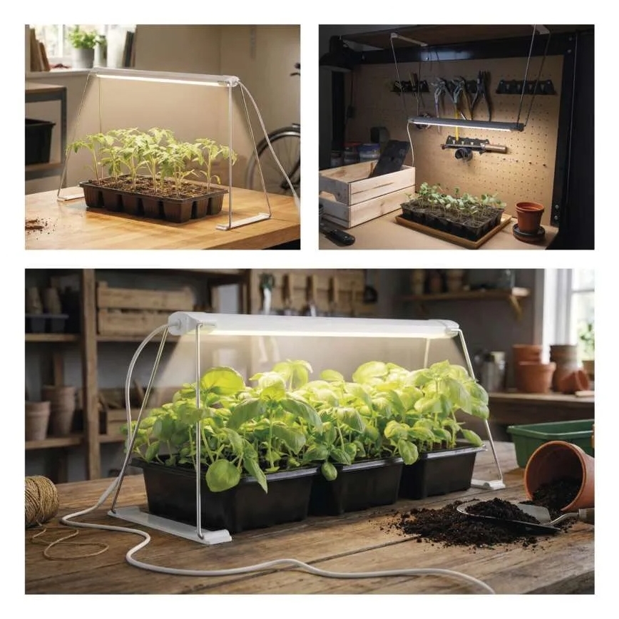 LED-Innenleuchte zur Pflanzenzucht GROW LED/15W/230V