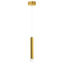 LED-Kronleuchter an Schnur GOLDIE 1xLED/5W/230V golden