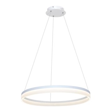 LED Kronleuchter auf der Litze RING LED/36W/230V