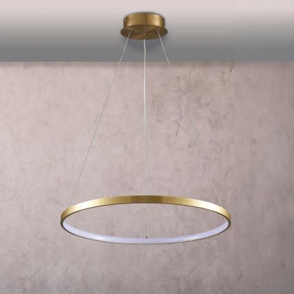 LED-Hängeleuchte LEA LED/20W/230V 4000K d 50 cm golden