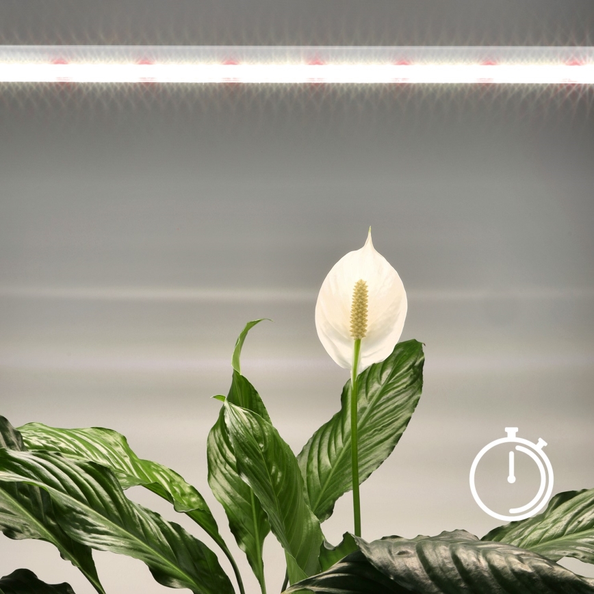 LED-Küchenunterbauleuchte für die Pflanzenzucht GROWLY LED/15W/230W