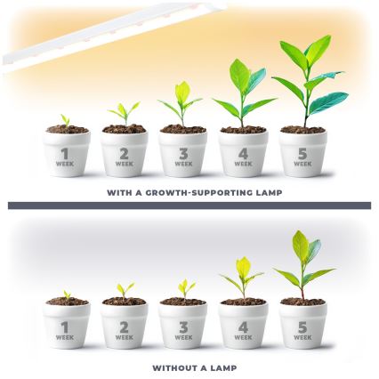 LED-Küchenunterbauleuchte für die Pflanzenzucht GROWLY LED/15W/230W