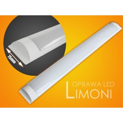 LED-Küchenunterbauleuchte LIMONI LED/40W/230V 3000K 120 cm
