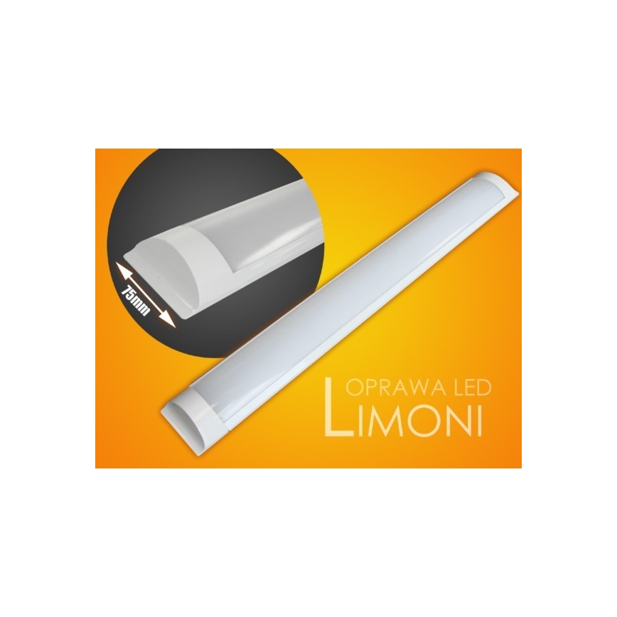 LED-Küchenunterbauleuchte LIMONI LED/40W/230V 3000K 120 cm