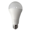 LED-Lampe A65 E27/18W/230V 4200K