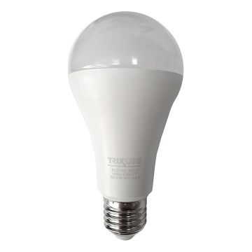 LED-Lampe A65 E27/18W/230V 4200K