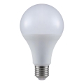 LED-Lampe A80 E27/20W/230V 3000K