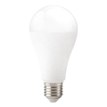 LED-Lampe GS E27/22W/230V 3000K