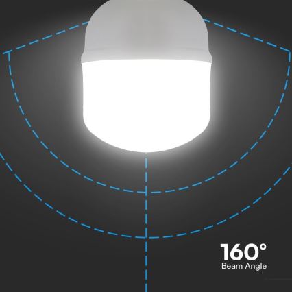 LED-Lampe T100 E27/30W/230V 6500K