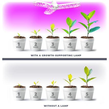 LED-Leuchtmittel für die Pflanzenzucht PLANTY E27/24W/230V 1200K