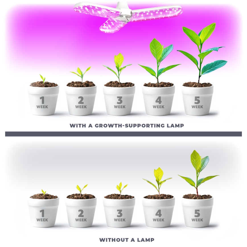 LED-Leuchtmittel für die Pflanzenzucht PLANTY E27/24W/230V 1200K