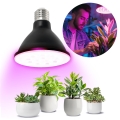 LED-Leuchtmittel für die Pflanzenzucht PLANTY E27/9W/230V 1200K schwarz
