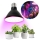 LED-Leuchtmittel für die Pflanzenzucht PLANTY E27/9W/230V 1200K schwarz