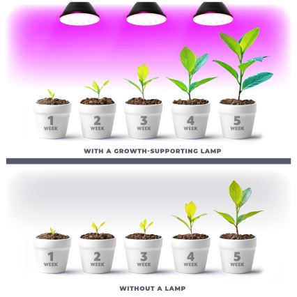 LED-Leuchtmittel für die Pflanzenzucht PLANTY E27/9W/230V 1200K schwarz