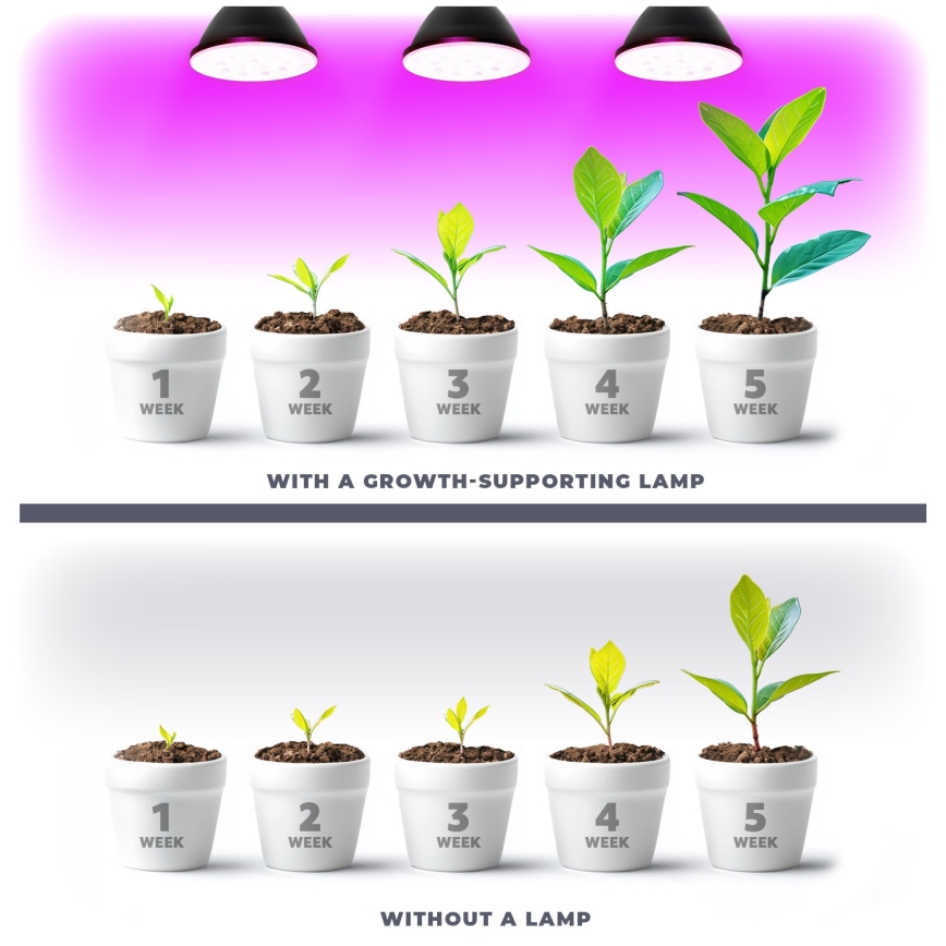 LED-Leuchtmittel für die Pflanzenzucht PLANTY E27/9W/230V 1200K schwarz