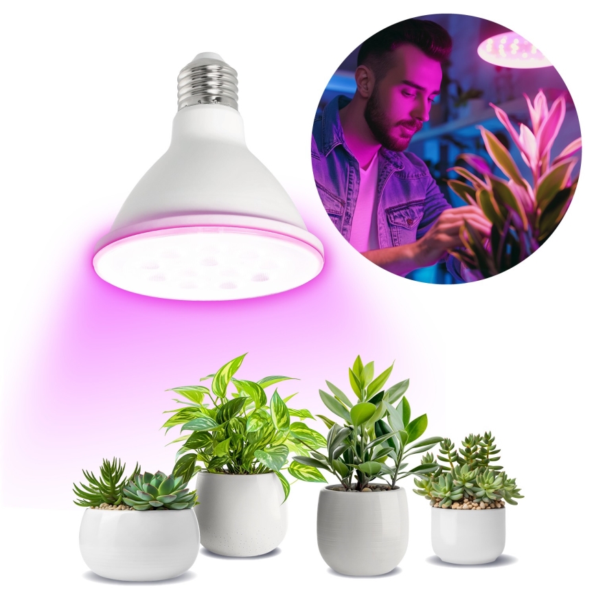 LED-Leuchtmittel für die Pflanzenzucht PLANTY E27/9W/230V 1200K weiß