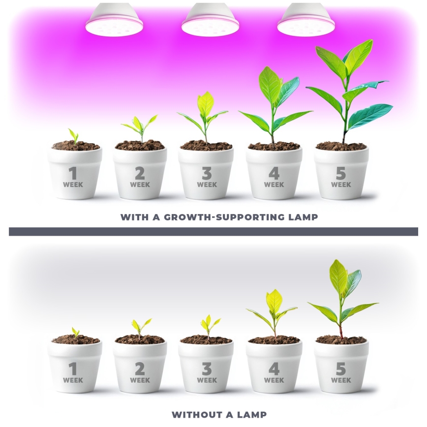 LED-Leuchtmittel für die Pflanzenzucht PLANTY E27/9W/230V 1200K weiß