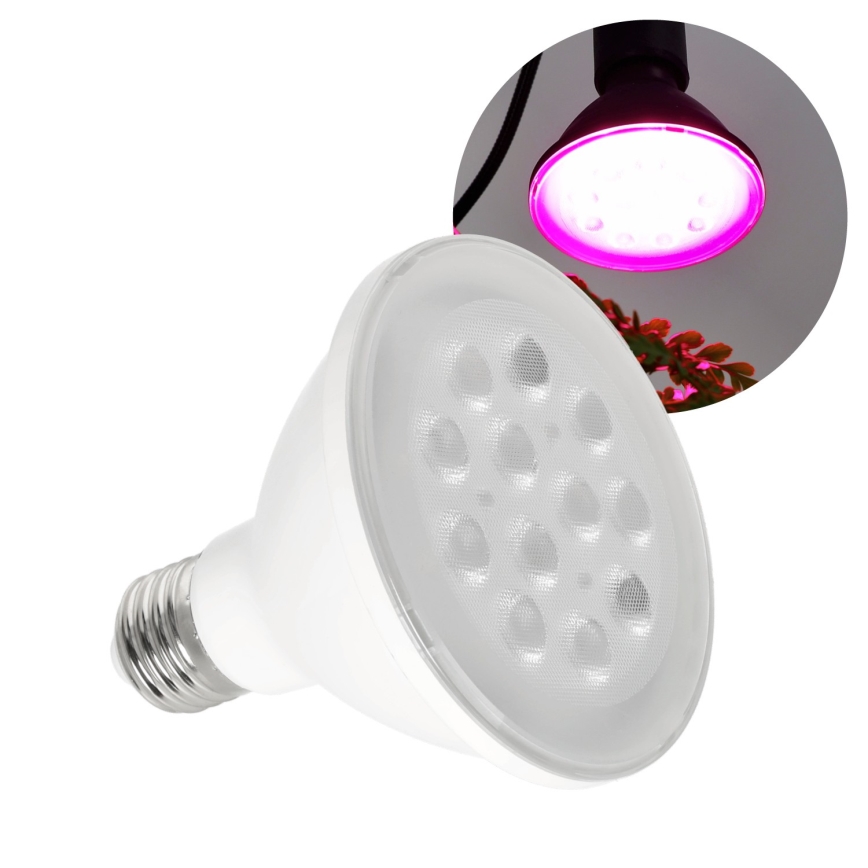 LED-Leuchtmittel für die Pflanzenzucht PLANTY E27/9W/230V 1200K weiß