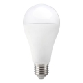 LED-Leuchtmittel GS E27/17W/230V 4000K