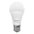 LED-Leuchtmittel LEDSTAR ECO A65 E27/18W/230V 4000K