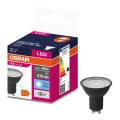 LED-Leuchtmittel VALUE PAR16 GU10/6,9W/230V 6500K 36° schwarz - Osram