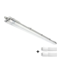 LED-Leuchtstoffarmatur für technische Anwendungen T8, 2x G13, 18 W, 230 V, 6500 K, IP65, 127 cm