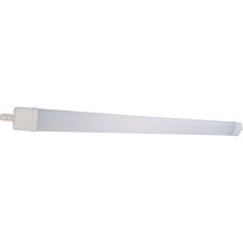 LED-Leuchtstofflampe DAISY LED/40W/230V 4000K IP65