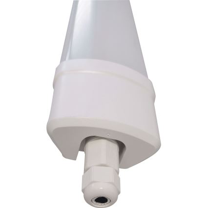 LED-Leuchtstofflampe DAISY LED/40W/230V 4000K IP65