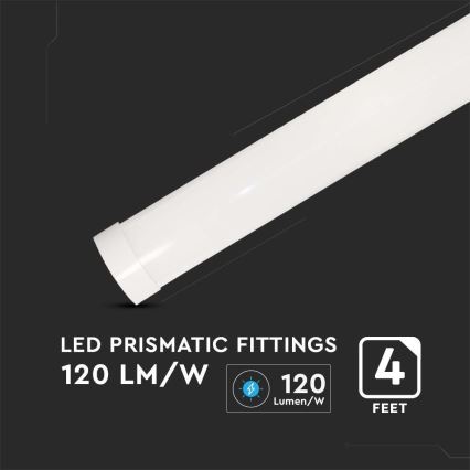 LED-Leuchtstofflampe SAMSUNG CHIP LED/40W/230V 6500K 120 cm