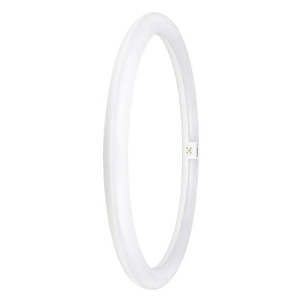 LED-Leuchtstoffröhre G10q/24W/230V 6500K - Osram