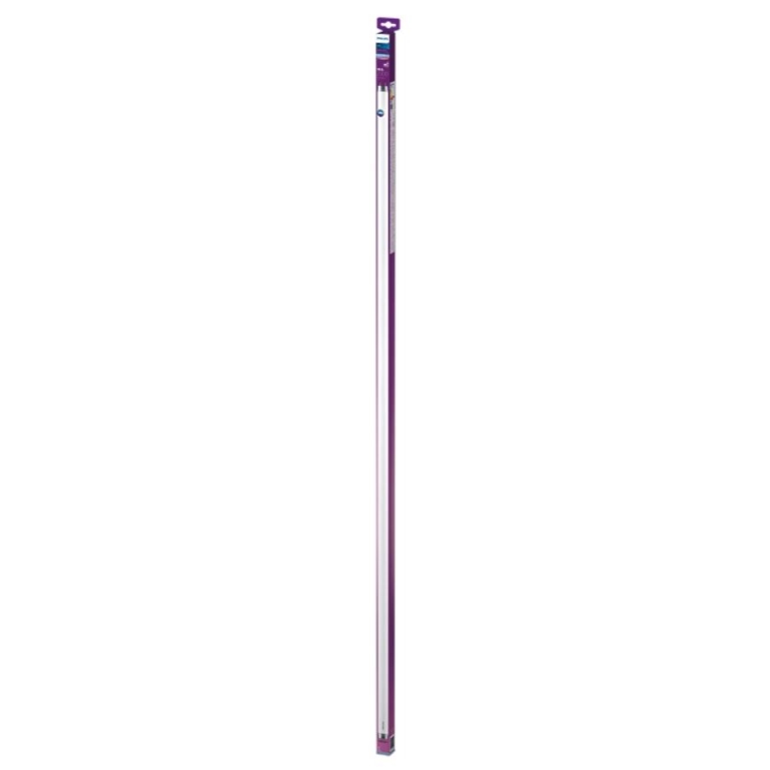 LED-Leuchtstoffröhre Philips T8 G13/19,5W/230V 6500K 150 cm