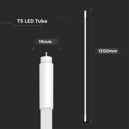 LED-Leuchtstoffröhre T5 G5/16W/230V 6500K 120 cm