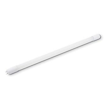 LED-Leuchtstoffröhre T8 G13/8W/230V 6000K 60 cm