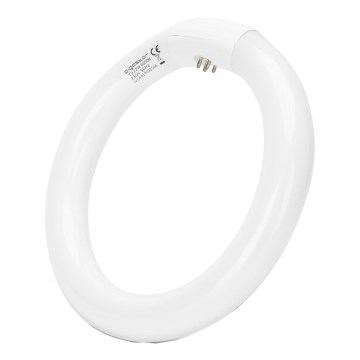 LED-Leuchtstoffröhre T9 G24q-1/22W/230V 6500K - Aigostar