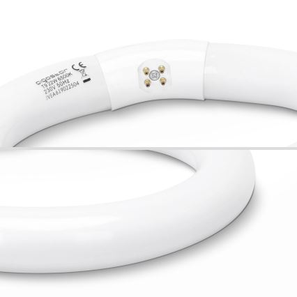 LED-Leuchtstoffröhre T9 G24q-1/22W/230V 6500K - Aigostar