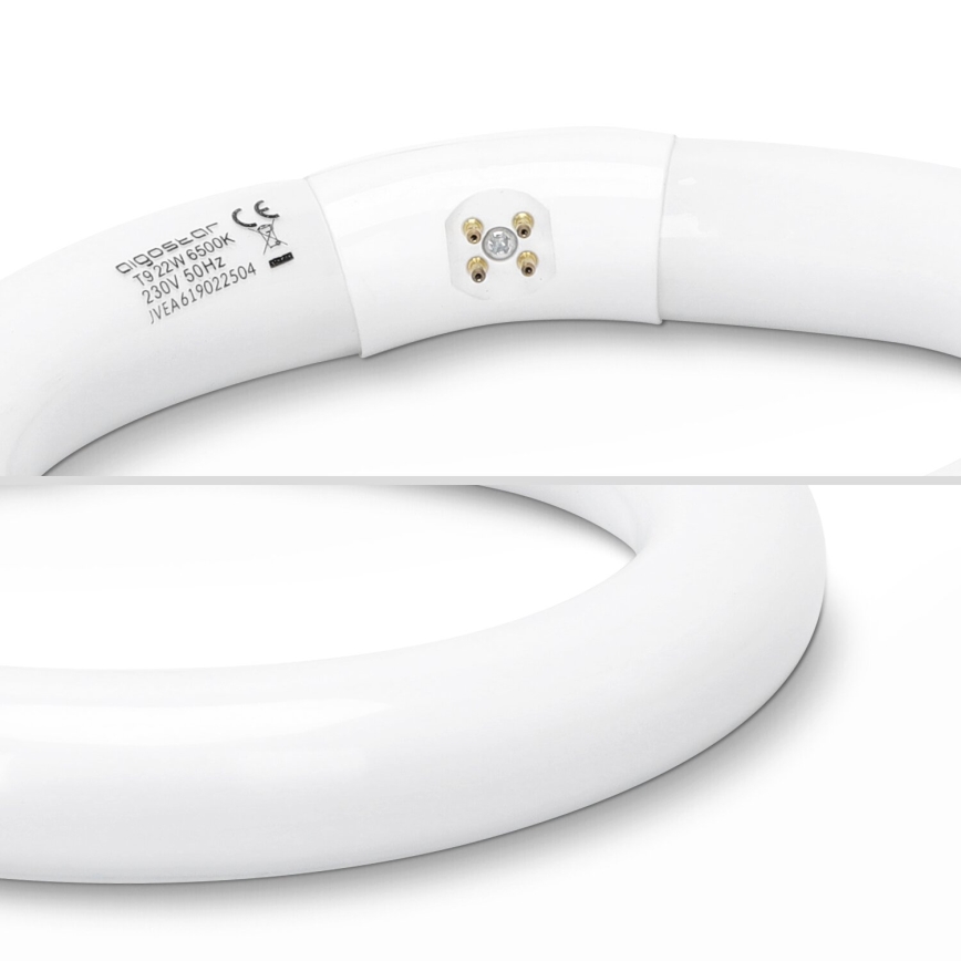 LED-Leuchtstoffröhre T9 G24q-1/22W/230V 6500K - Aigostar