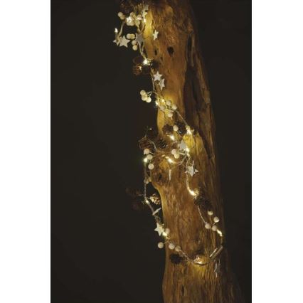 LED-Lichterkette, 20 LEDs, 2×AA, 2 m