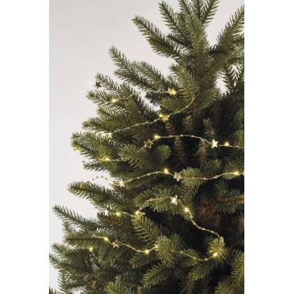 LED Lichterkette 20xLED/2xAA 2,2 m warmweiß