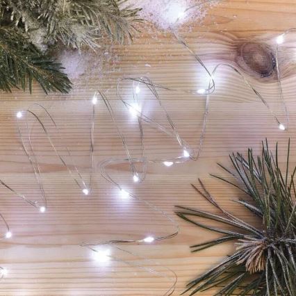 LED  Lichterkette 20xLED/2xAA 2,4m kaltweiß