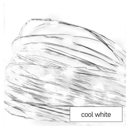 LED  Lichterkette 20xLED/2xAA 2,4m kaltweiß