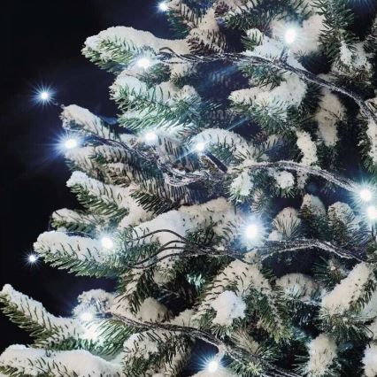 LED-Lichterkette für den Außenbereich, 100 LEDs / 10 m, IP44, kaltweiß