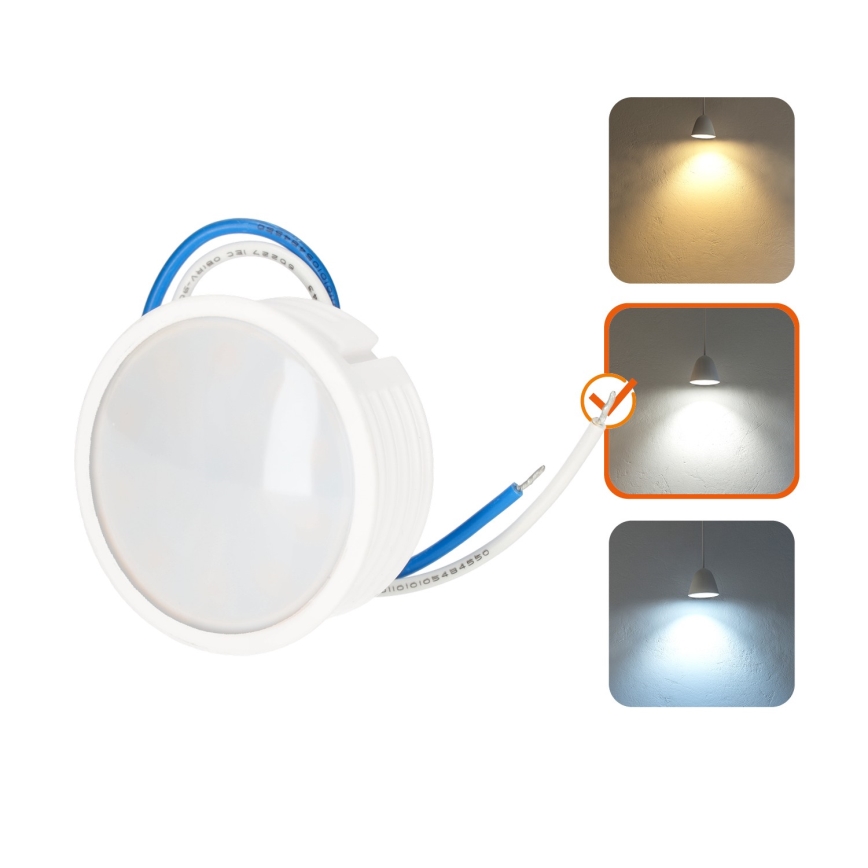 LED-Modul LED/5W/230V 4000K