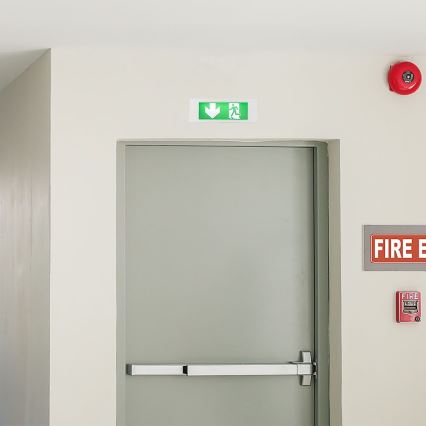 LED-Notleuchte EMERGENCY EXIT SAMSUNG CHIP LED/3,8W/230V 6000K