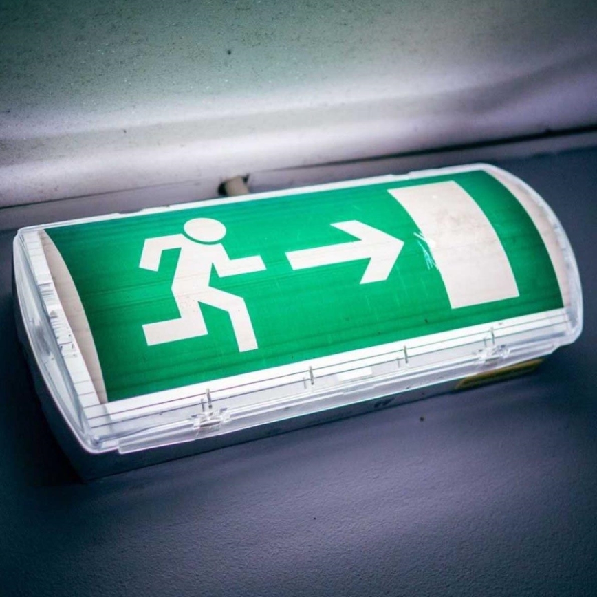 LED-Notleuchte EMERGENCY EXIT LED/3W/230V 6400K IP65