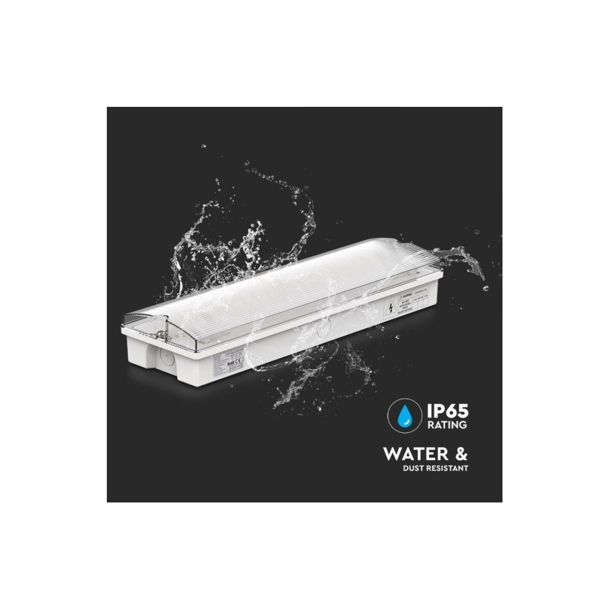 LED-Notleuchte EMERGENCY EXIT LED/3W/230V 6400K IP65